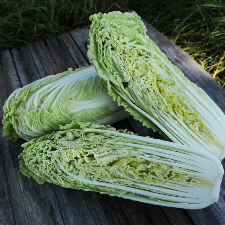 Cabbage Chinese Hilton web LAH _DSF237 scaled