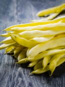 shutterstock_787610356 scaled
