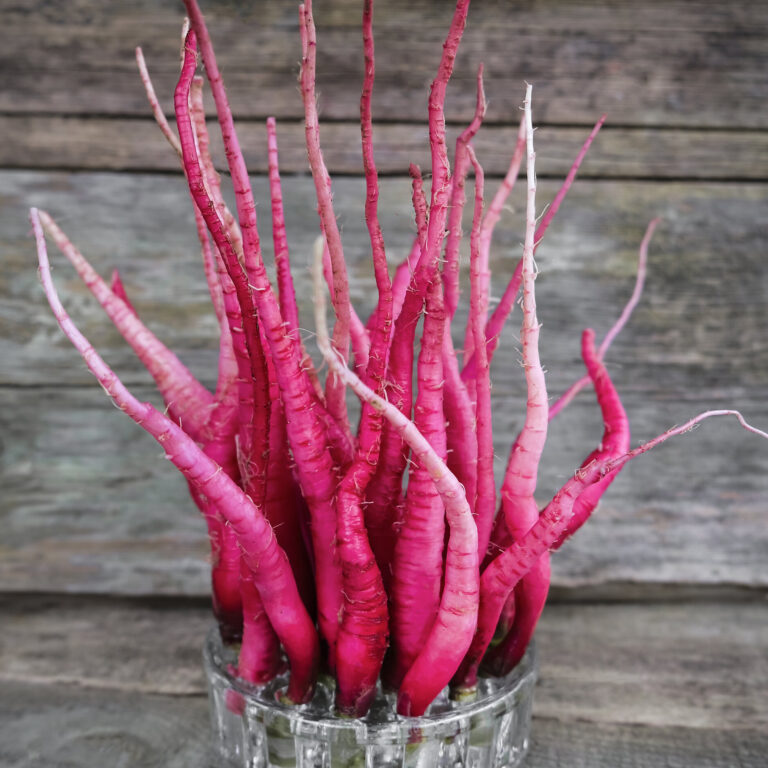 rsz_radish_fire_candle_lah_cover_crop_dsf2840