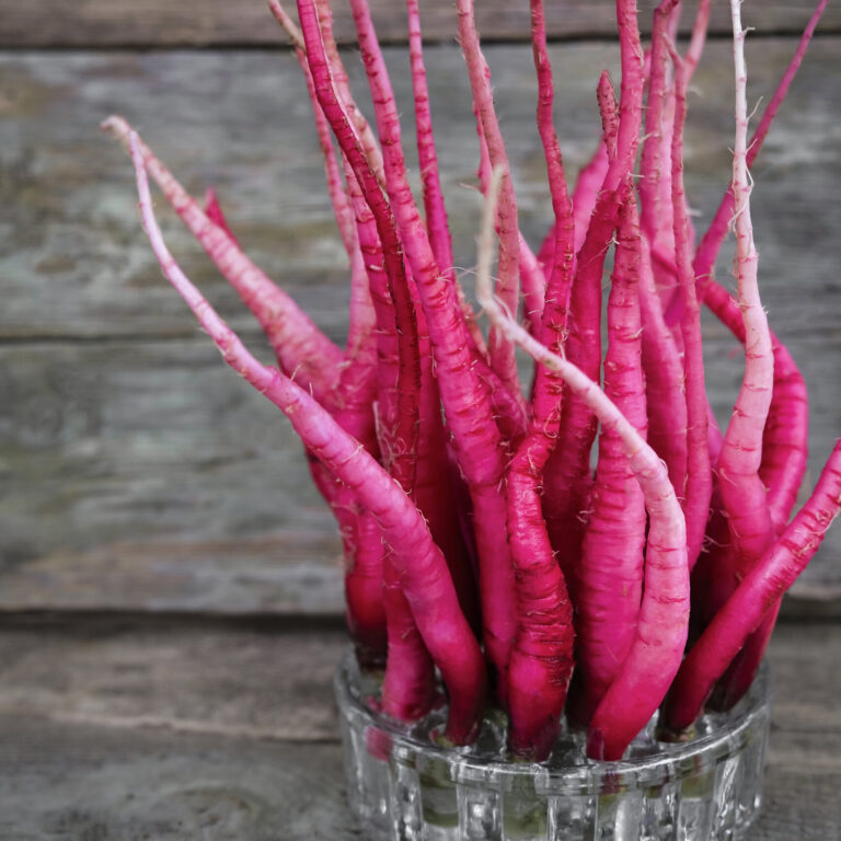 rsz_radish_fire_candle_lah__dsf2843 scaled 1