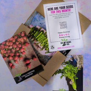 Subscription Get Growing Jan LAH 2024 portrait_DSF4536 scaled