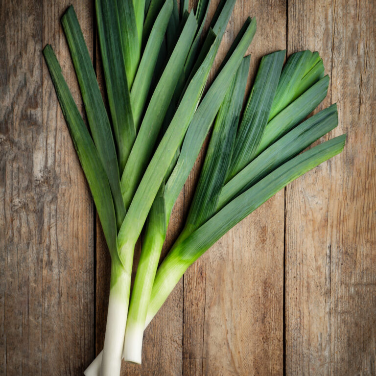 leek elefant