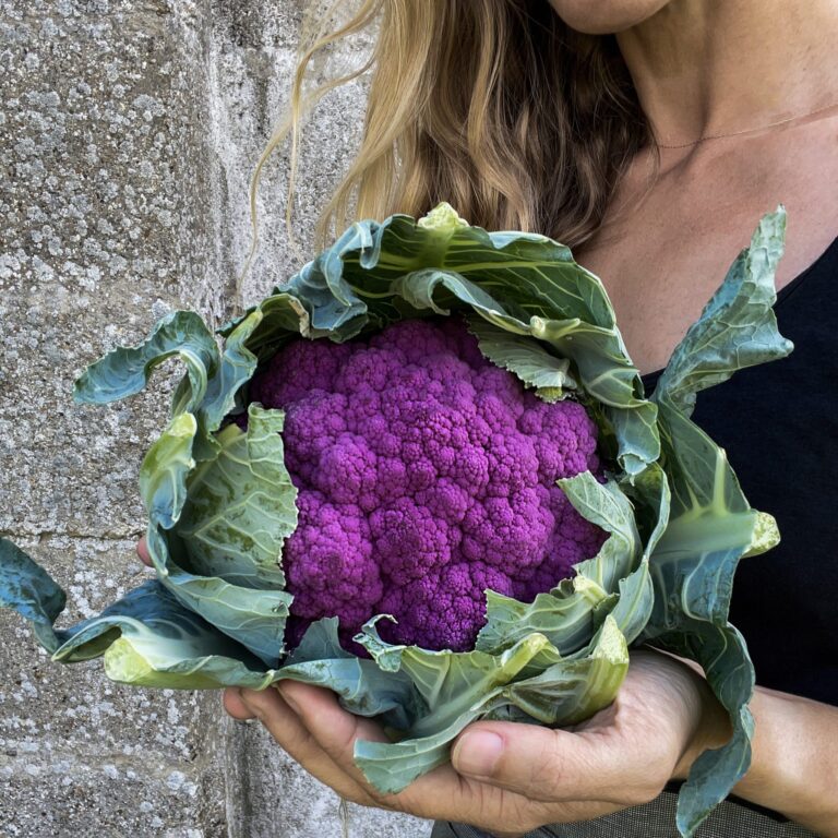 cauliflower sicilian violet