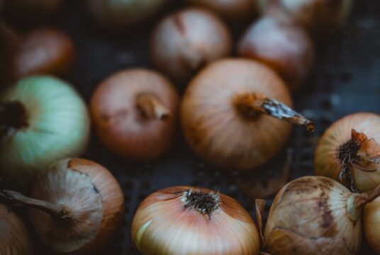 Onion Italian Flat 3 scaled 1