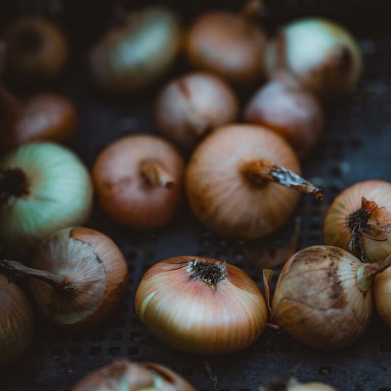 Onion Italian Flat 3 scaled 1