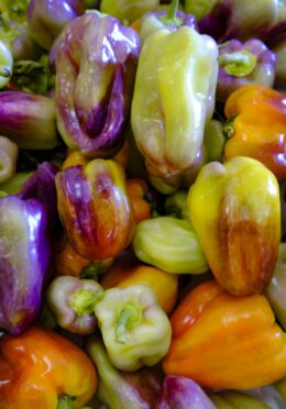 sweet pepper blot