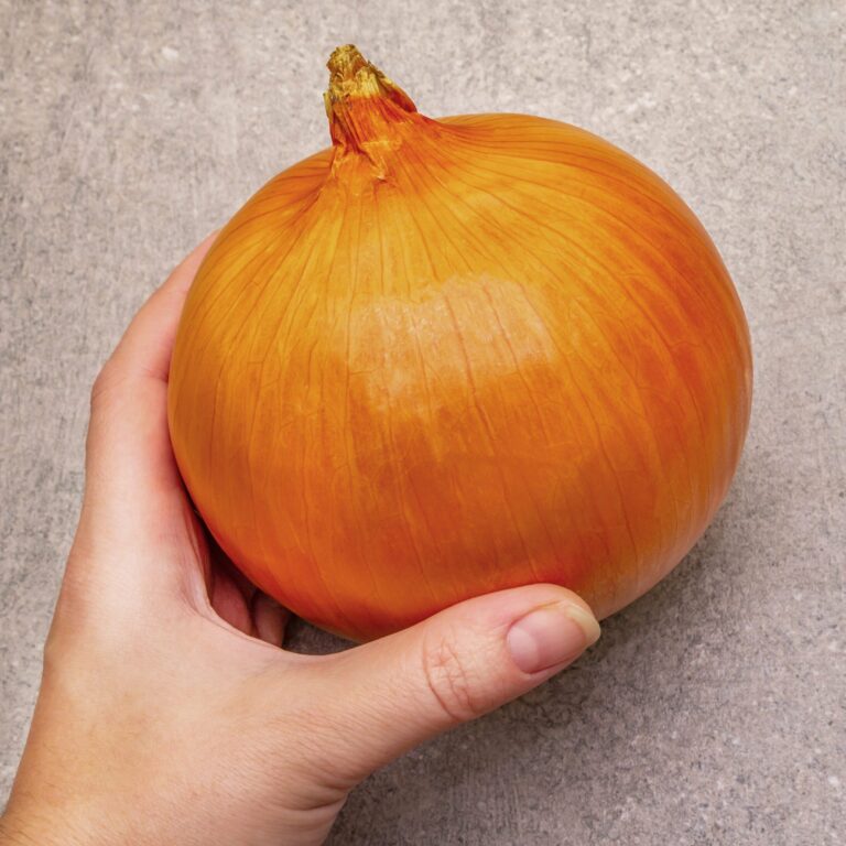 Onion Galacticus Cover shutterstock_141992178 2 scaled