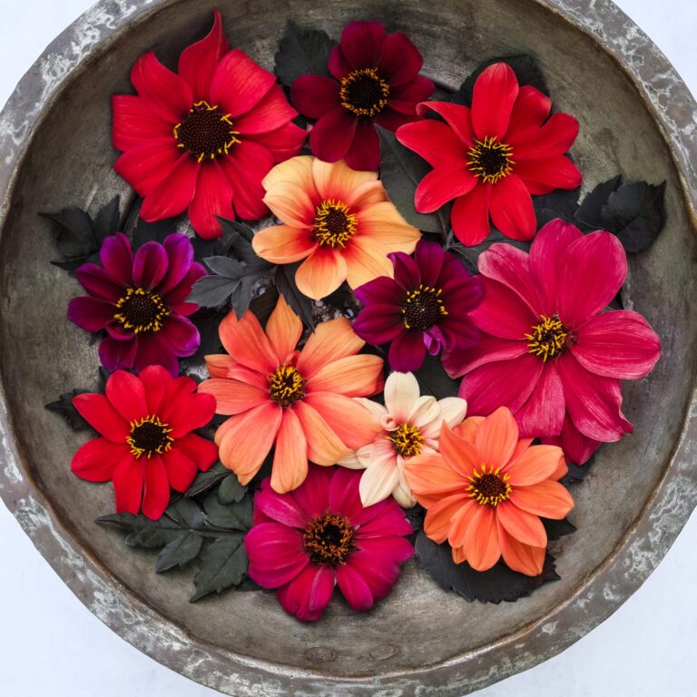 dahlia bishop's children