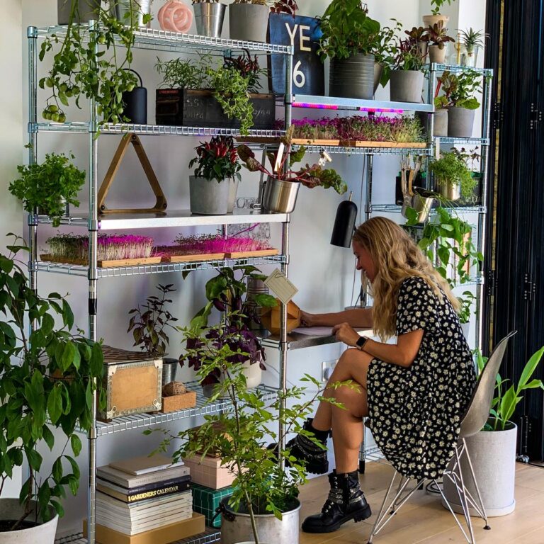 f6ac0de3 484d 426e a9c6 6e1bba5bc775 1