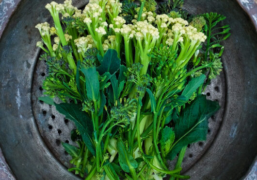 sprouting broccoli white eye