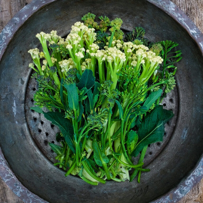 sprouting broccoli white eye