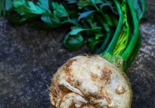 celeriac brilliant