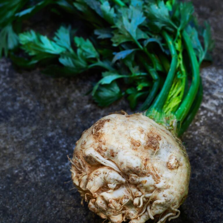 celeriac brilliant