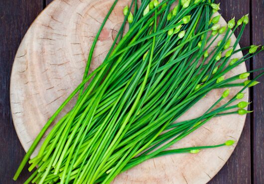 Chives Chinese portrait shutterstock_739593946 scaled