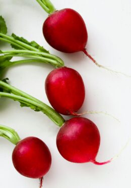 Spring Radish Giant Butter cover unsplash scaled