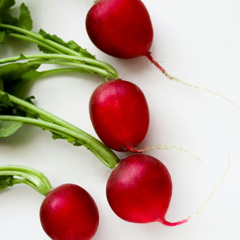 Spring Radish Giant Butter cover unsplash scaled