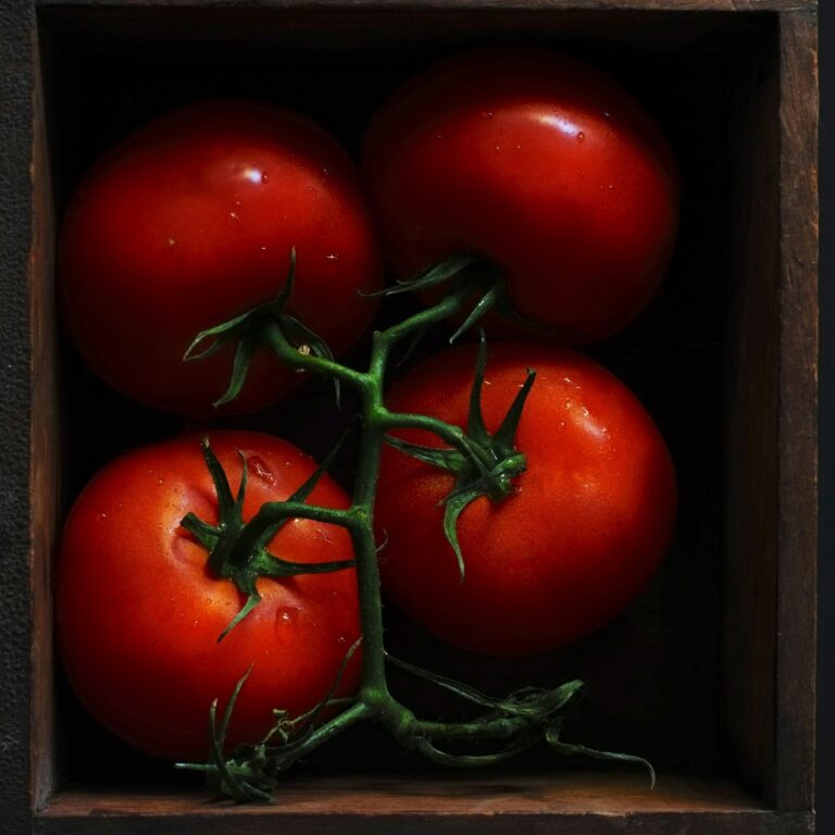 Tomato Heinz 1350 Cover unsplash scaled