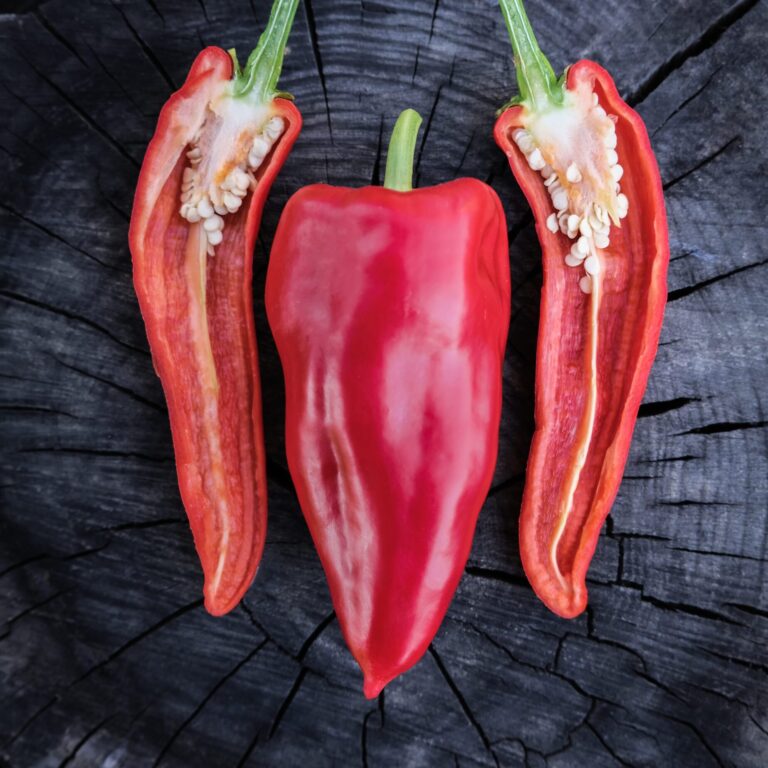 Cover Sweet Pepper Marconi _DSF2413 copy scaled