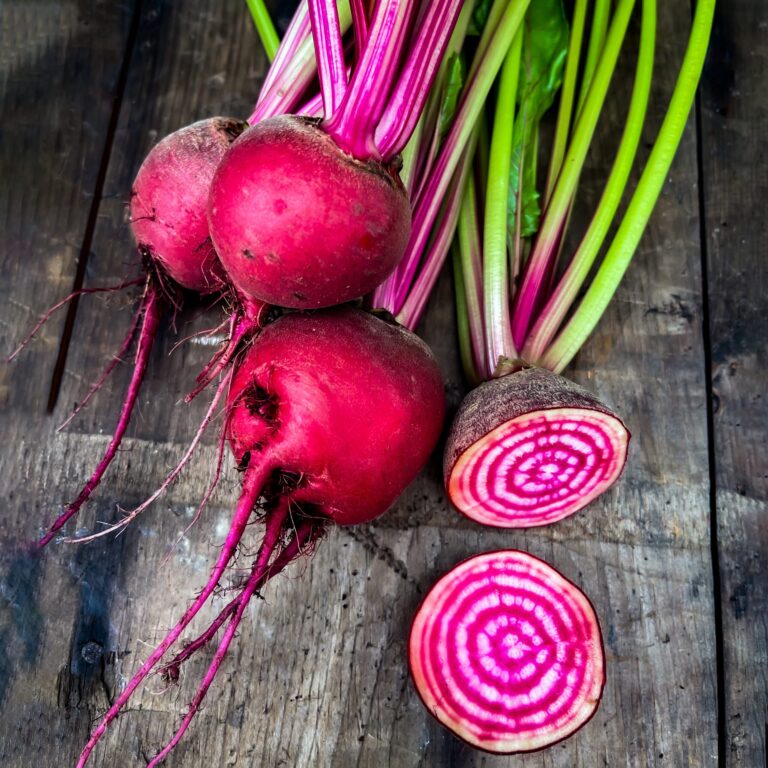 beetroot chioggia