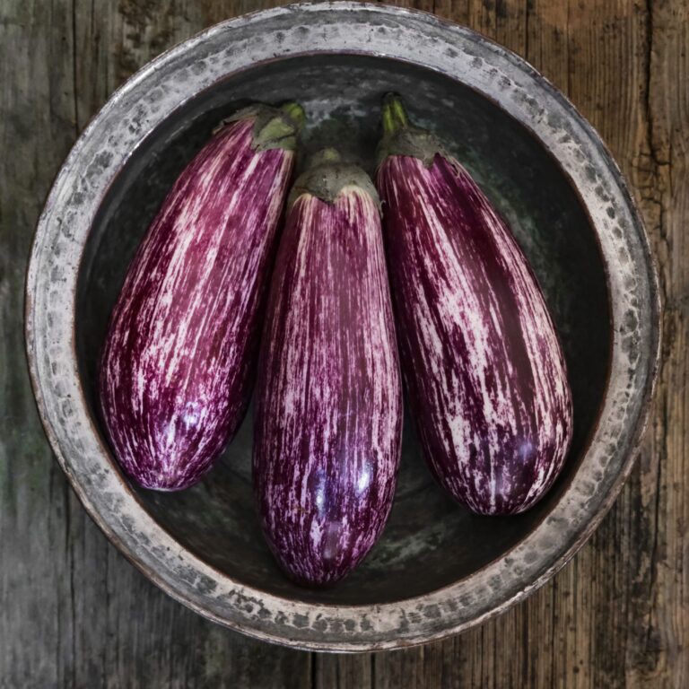 Cover Aubergine Listada de Gandia_DSF2634 scaled