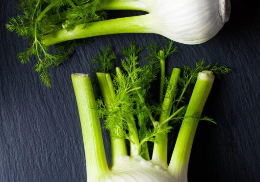 fennel bulb fino