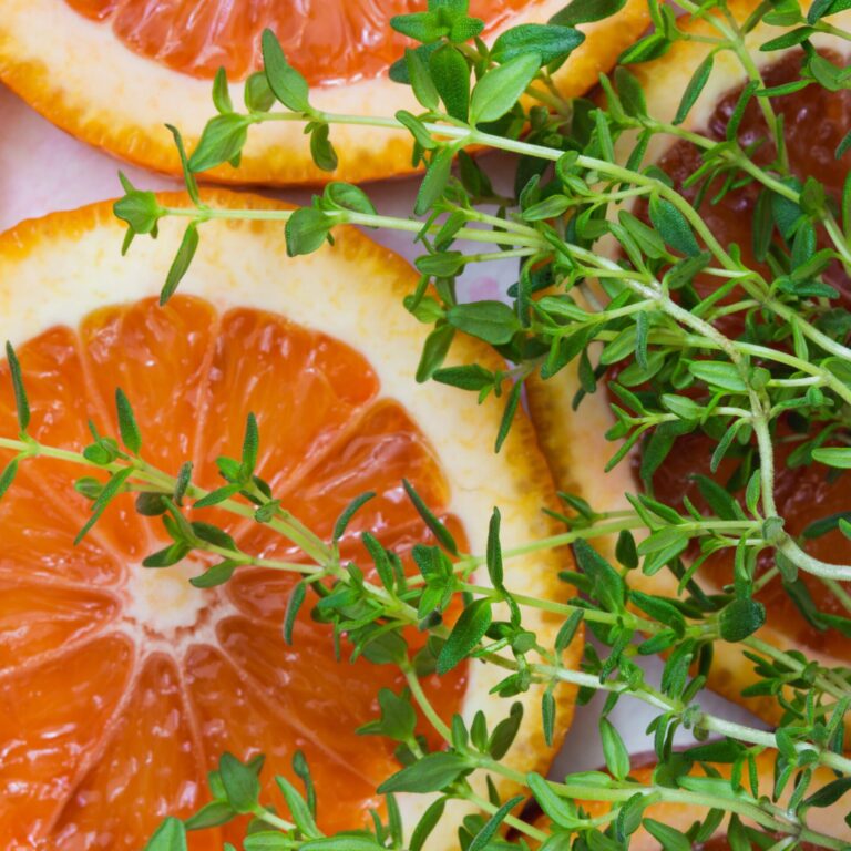 Herb Orangelo Thyme portrait shutterstock_422867668 2 scaled