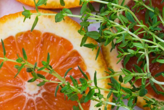 Herb Orangelo Thyme portrait shutterstock_422867668 scaled