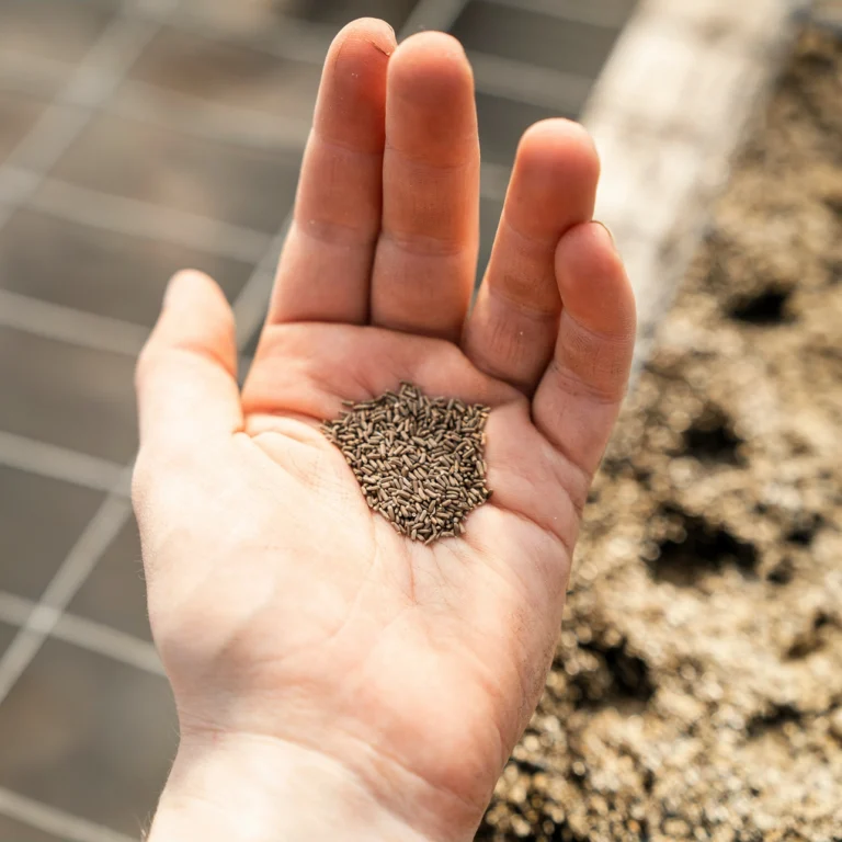 what to sow in march