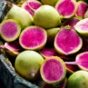 radish watermelon heirloom seeds
