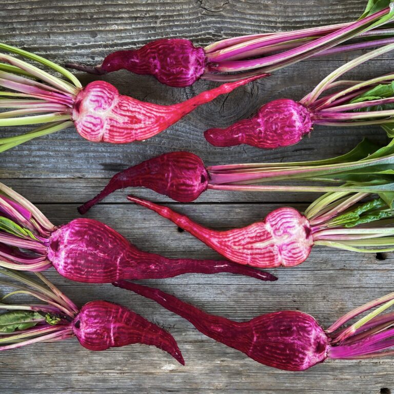 Beetroot Cheltenham Green Top LAH Sliced scaled