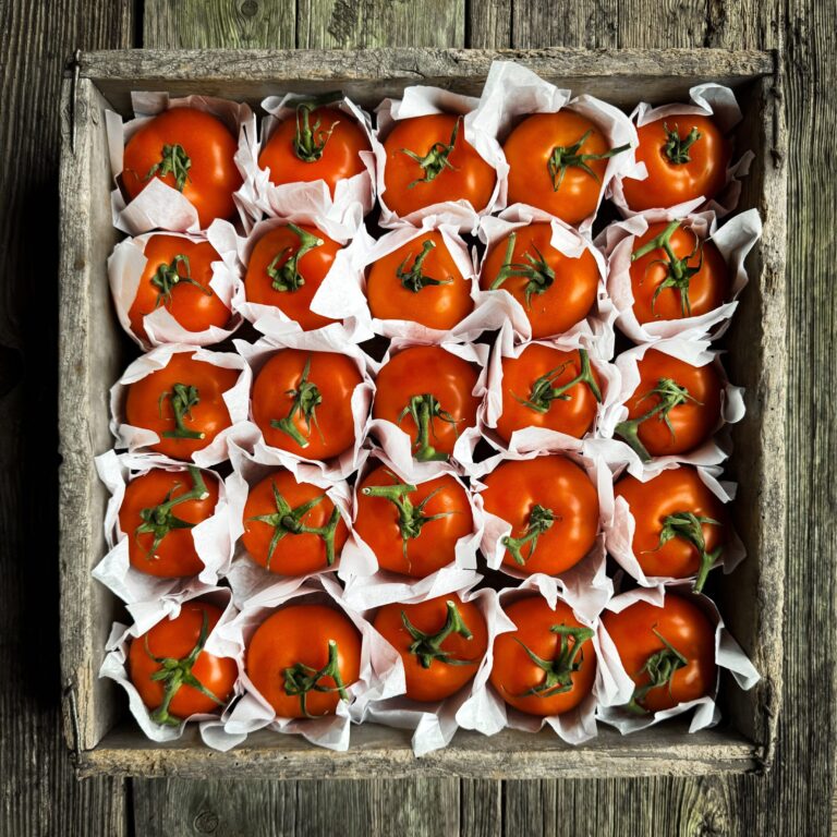 storage tomato long keeper