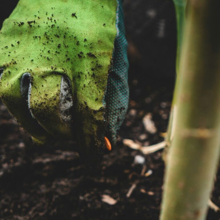 jonathan kemper wzYc _TIk8o unsplash 1 1 scaled e1743416710893