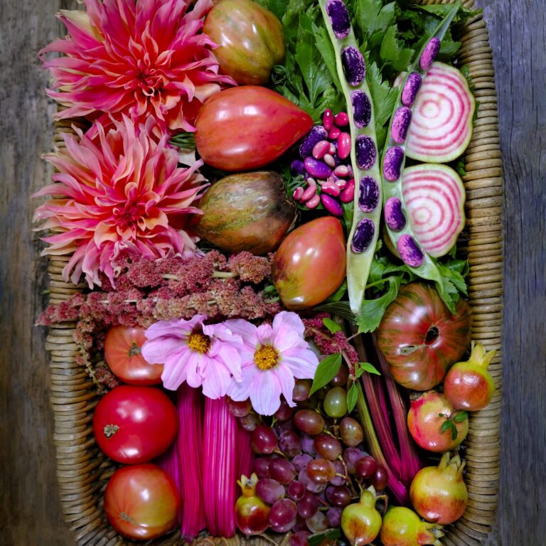 Pink Harvest LAH 2024_DSF4187 scaled