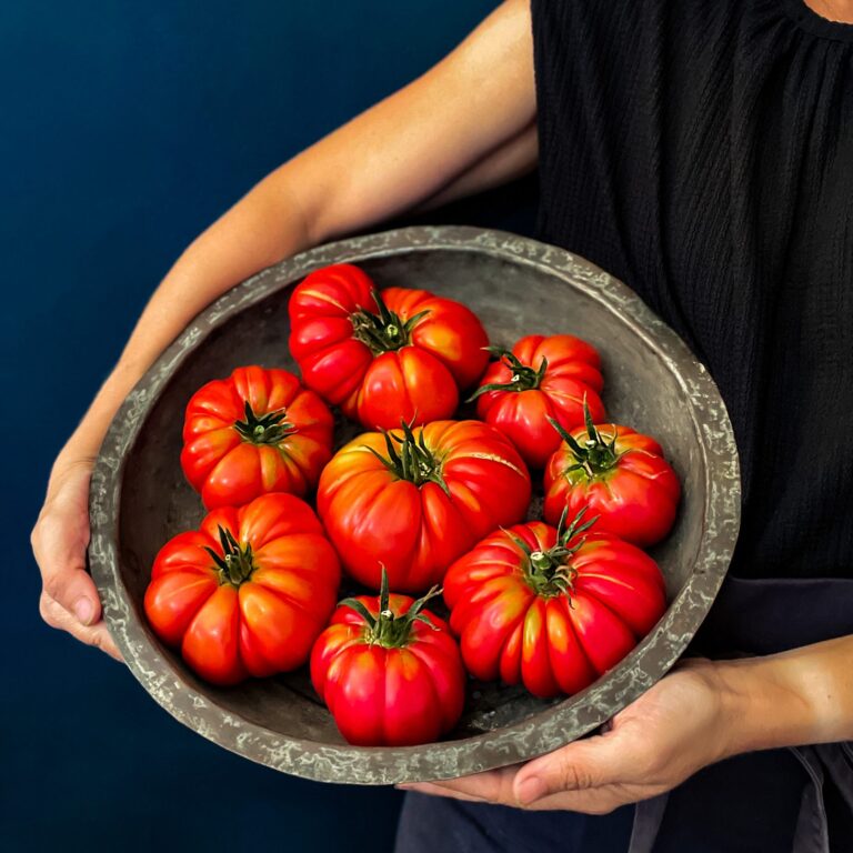 Cover Tomato Mushroom Basket LAH IMG_5233 scaled 1