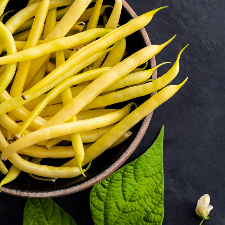 Dwarf Bean Creso