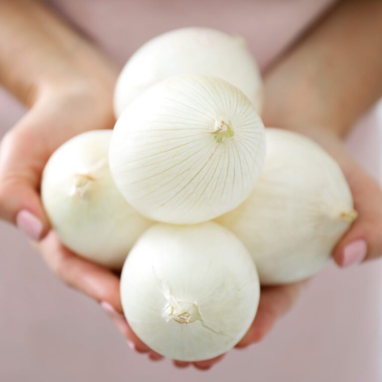 Onion Bianca Musona cover shutterstock_2193045385 scaled