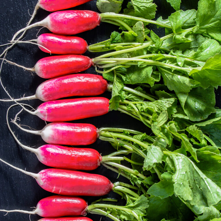 Spring Radish De dix huit jours cover shutterstock_429653317 1 scaled