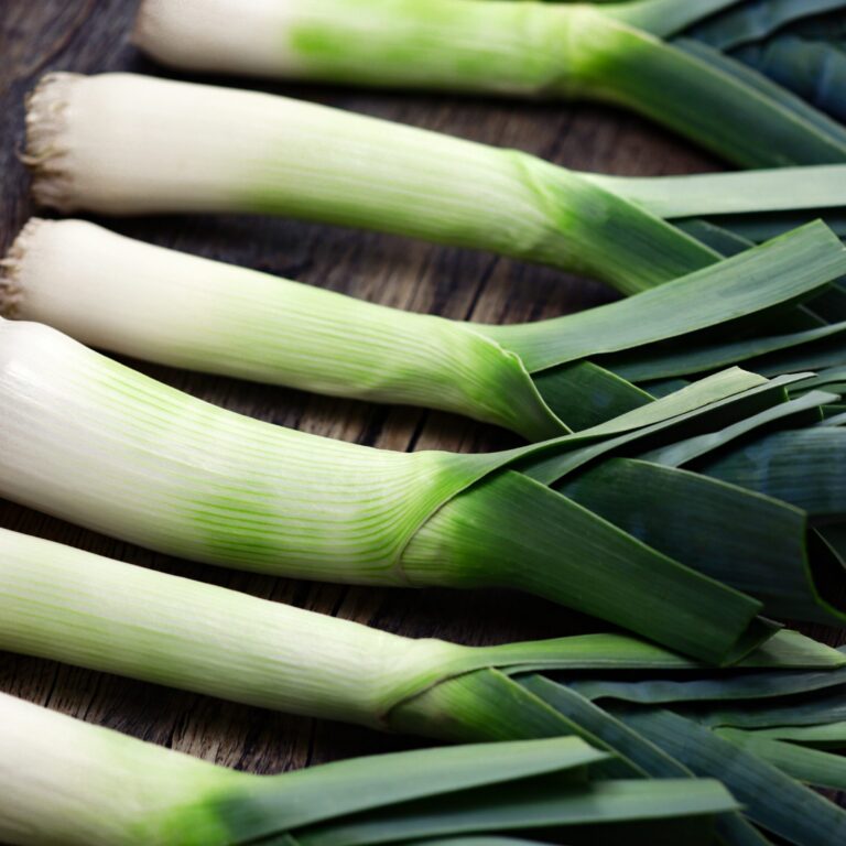 Leek Blue De Solaise cover shutterstock_2428421461 1 scaled