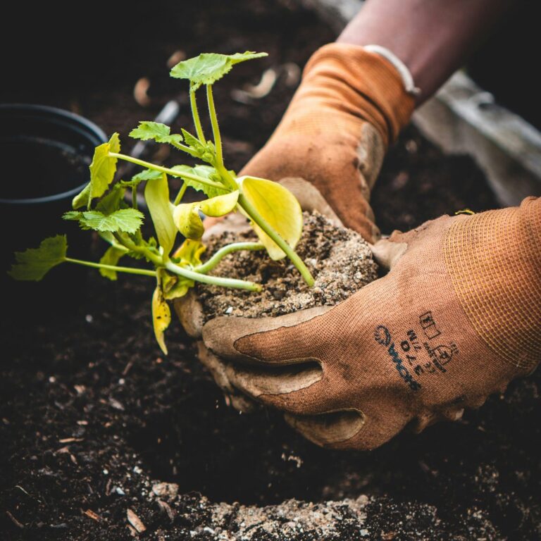 jonathan kemper CbZh3kaPxrE unsplash 1 scaled e1717058788957