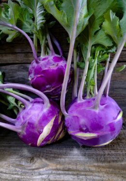 Kohl Rabi Dyna LAH 2025 web_DSF5019 scaled