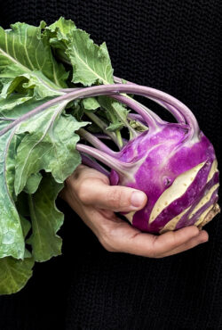 Kohl Rabi Dyna LAH 2025 web IMG_1364