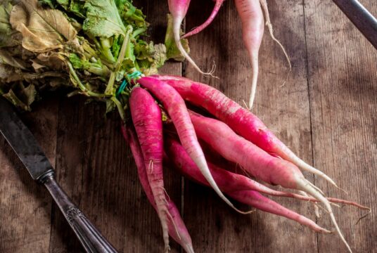 Cover Radish China Rose shutterstock_2201697873 scaled 1