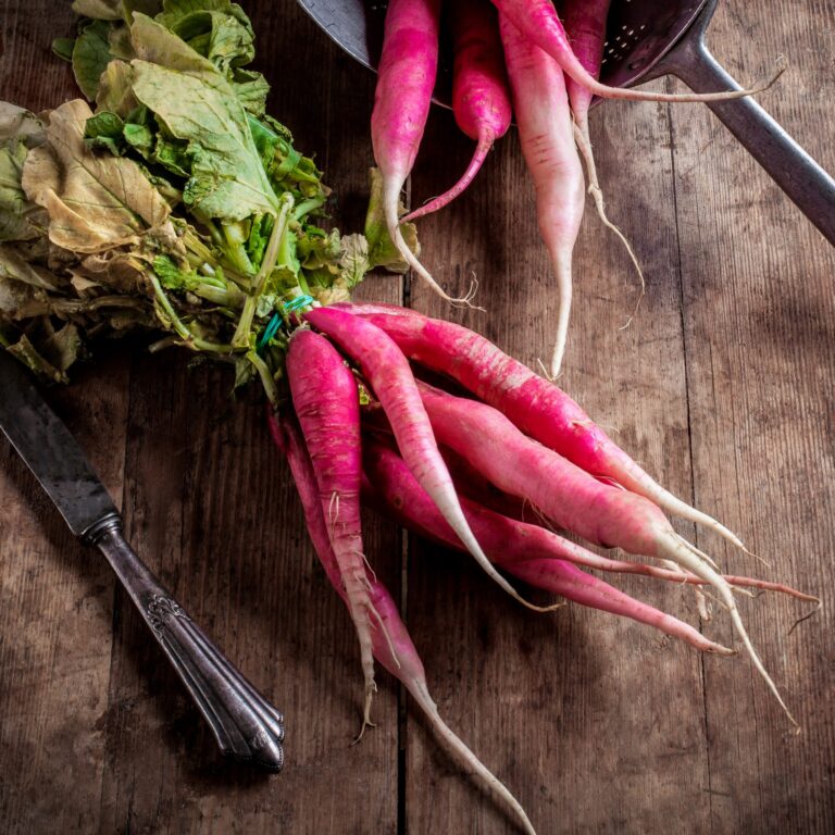 Cover Radish China Rose shutterstock_2201697873 scaled 1