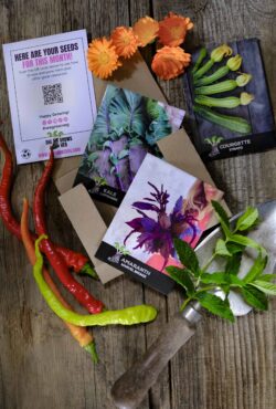 Subscriptions Get Growing LAH 2025 web _DSF5089 scaled