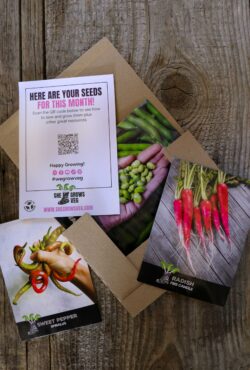 Subscriptions Get Growing LAH 2025 web _DSF4523 scaled