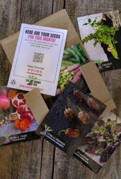 Subscriptions Veg Addict LAH 2025 web _DSF4542 scaled