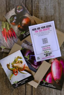 Subscriptions Veg Addict LAH 2025 web _DSF4530 scaled
