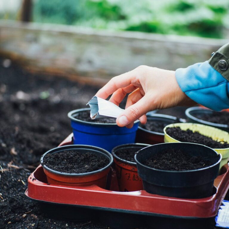 storing seeds blog cover unsplash scaled 1