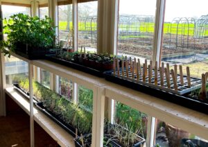 what to sow november cover