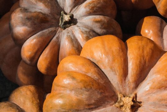 Pumpkin Musquee Du Provence 1 scaled 1